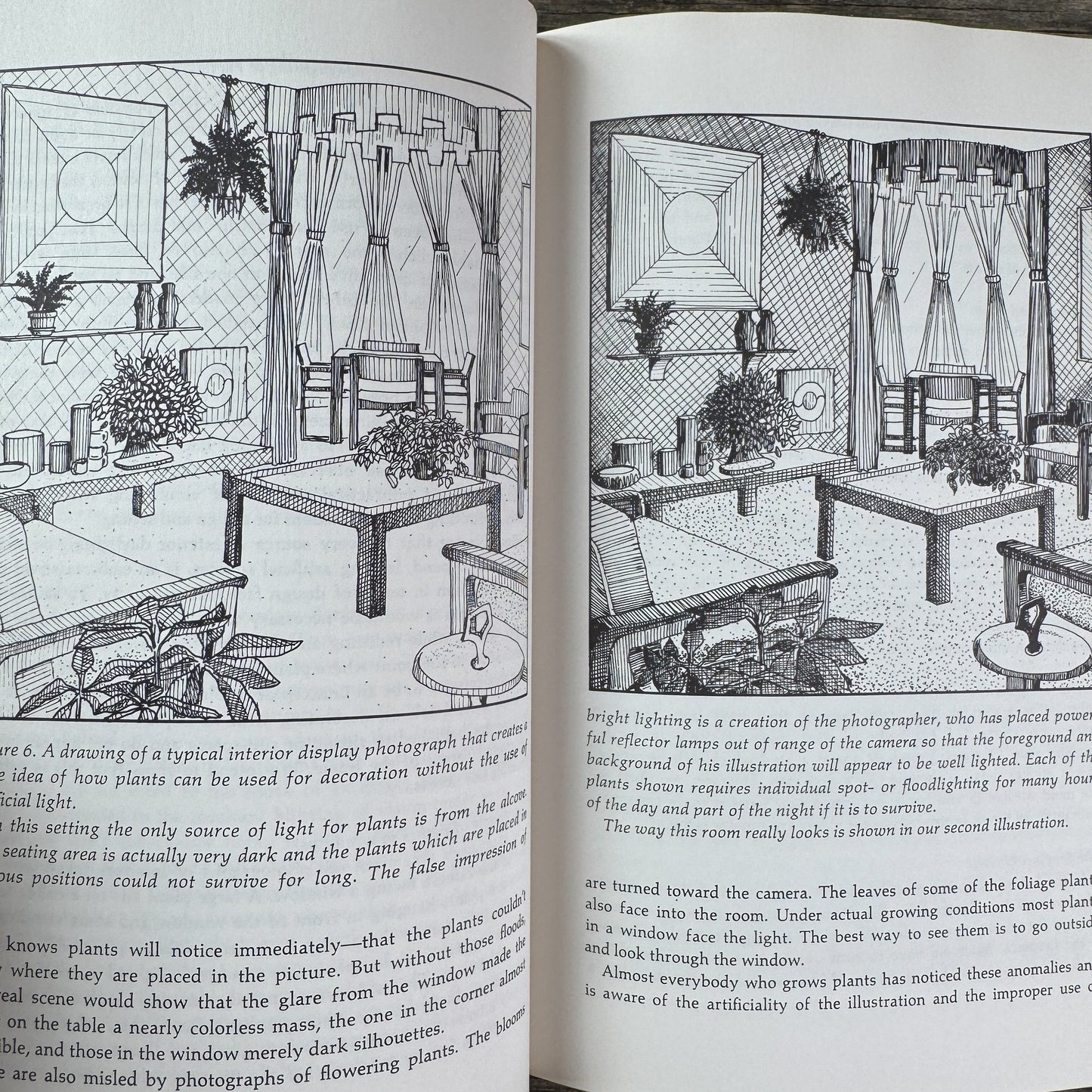 The House Plant Decorating Book, Virginie F. and George A. Elbert, 1977