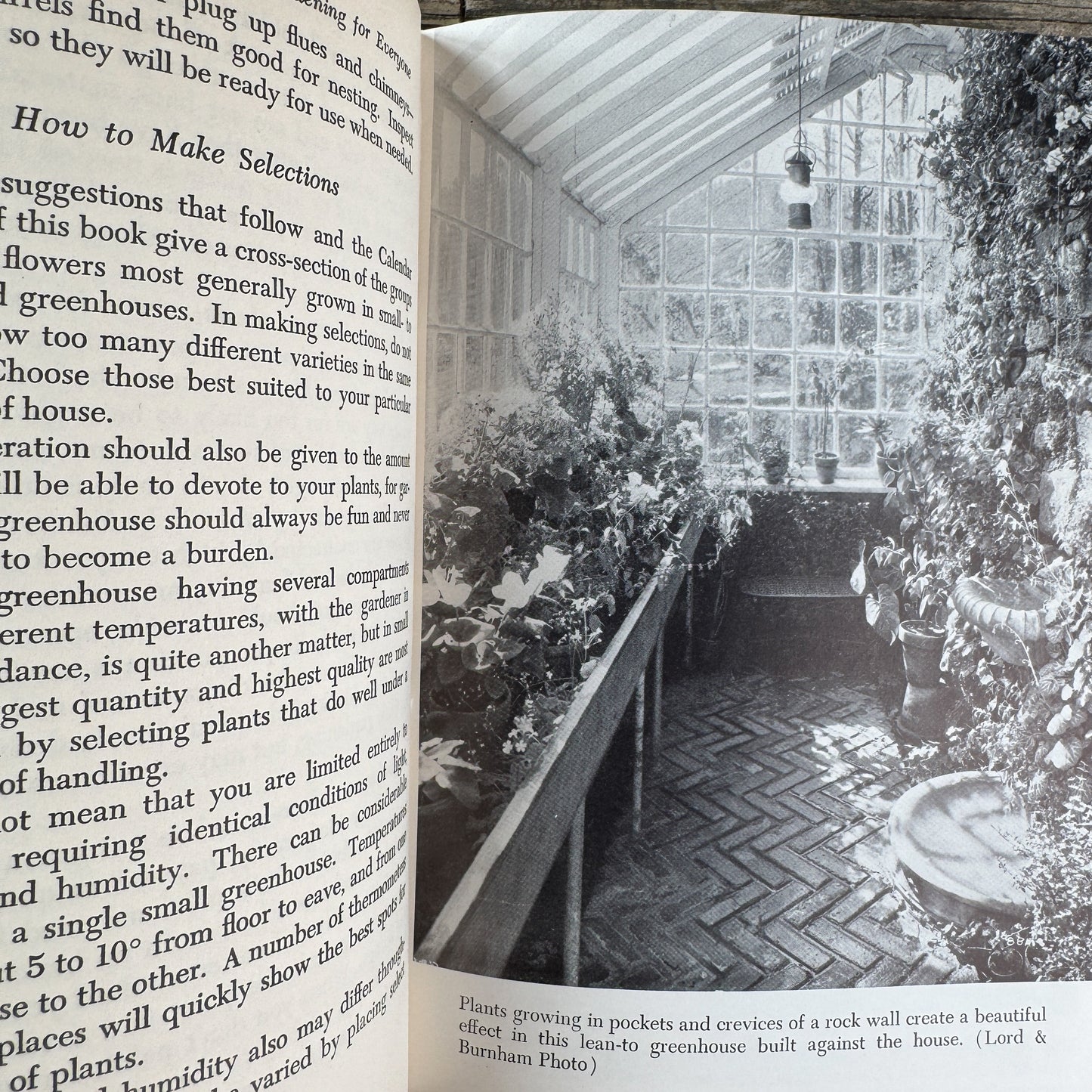 The New Greenhouse Gardening for Everyone, Ernest Chabot, 1955