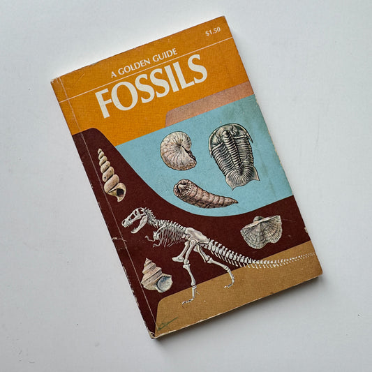Fossils A Golden Guide Paperback 1962