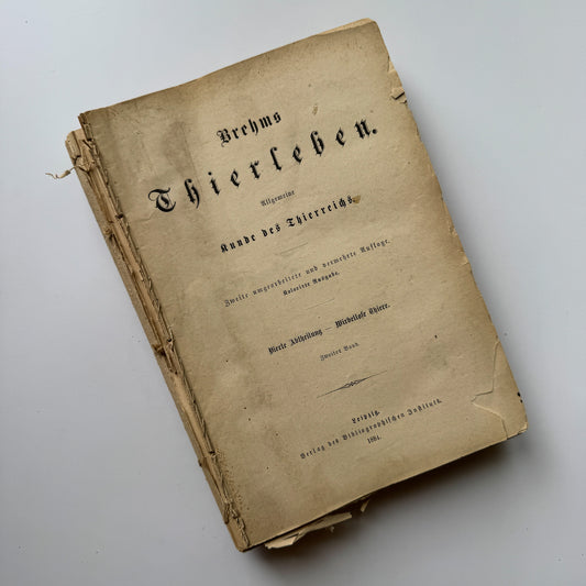 Brehm’s Life of Animals: A General Account of the Animal Kingdom, 1884