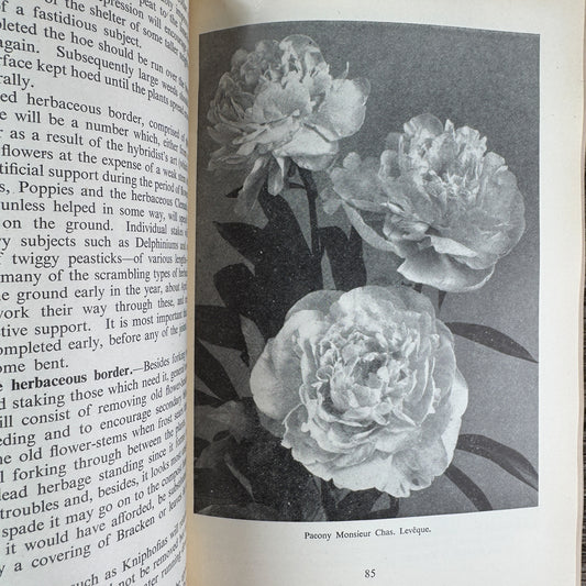 The English Flower Garden, William Robinson, 1956