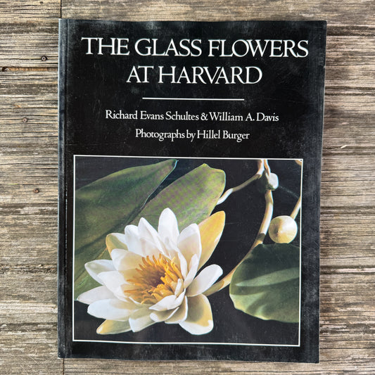 The Glass Flowers at Harvard, Richard Evans Schultes and William A. Davis, 1982