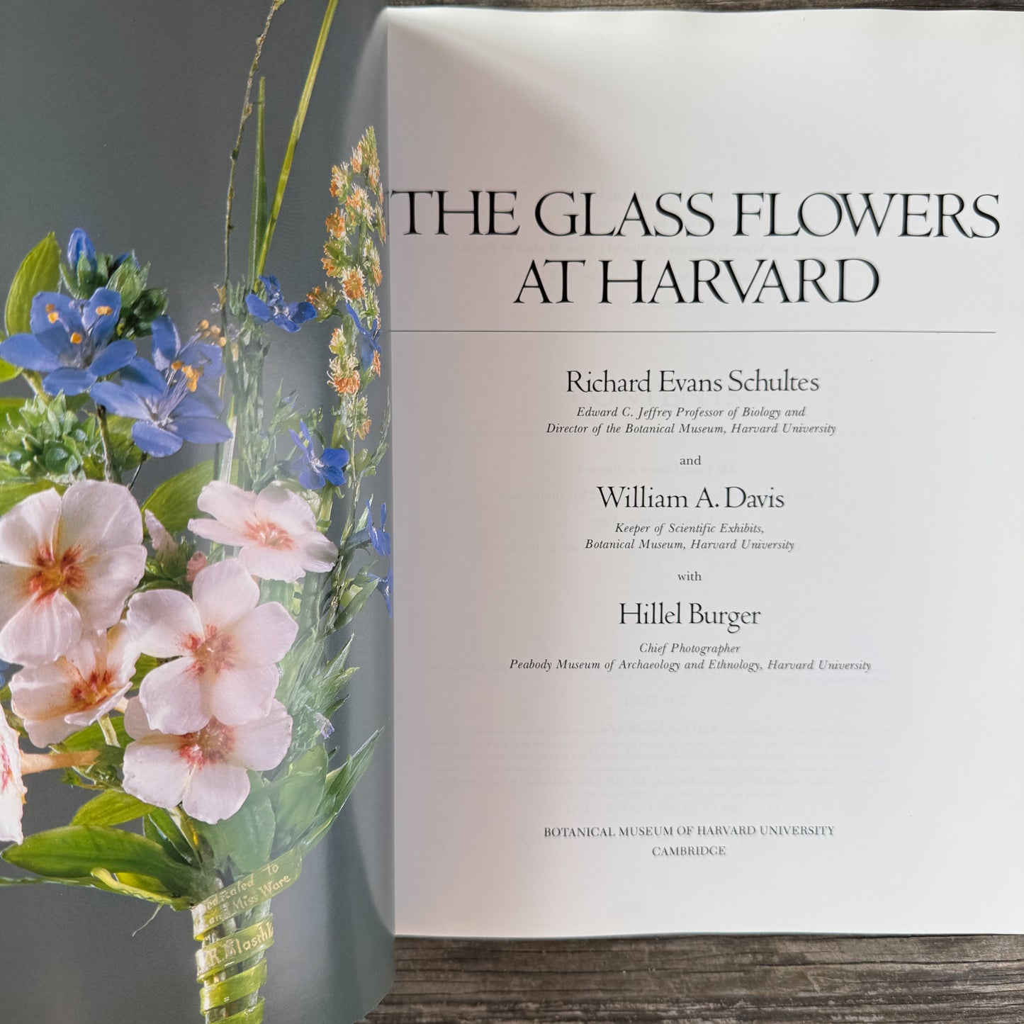 The Glass Flowers at Harvard, Richard Evans Schultes and William A. Davis, 1982