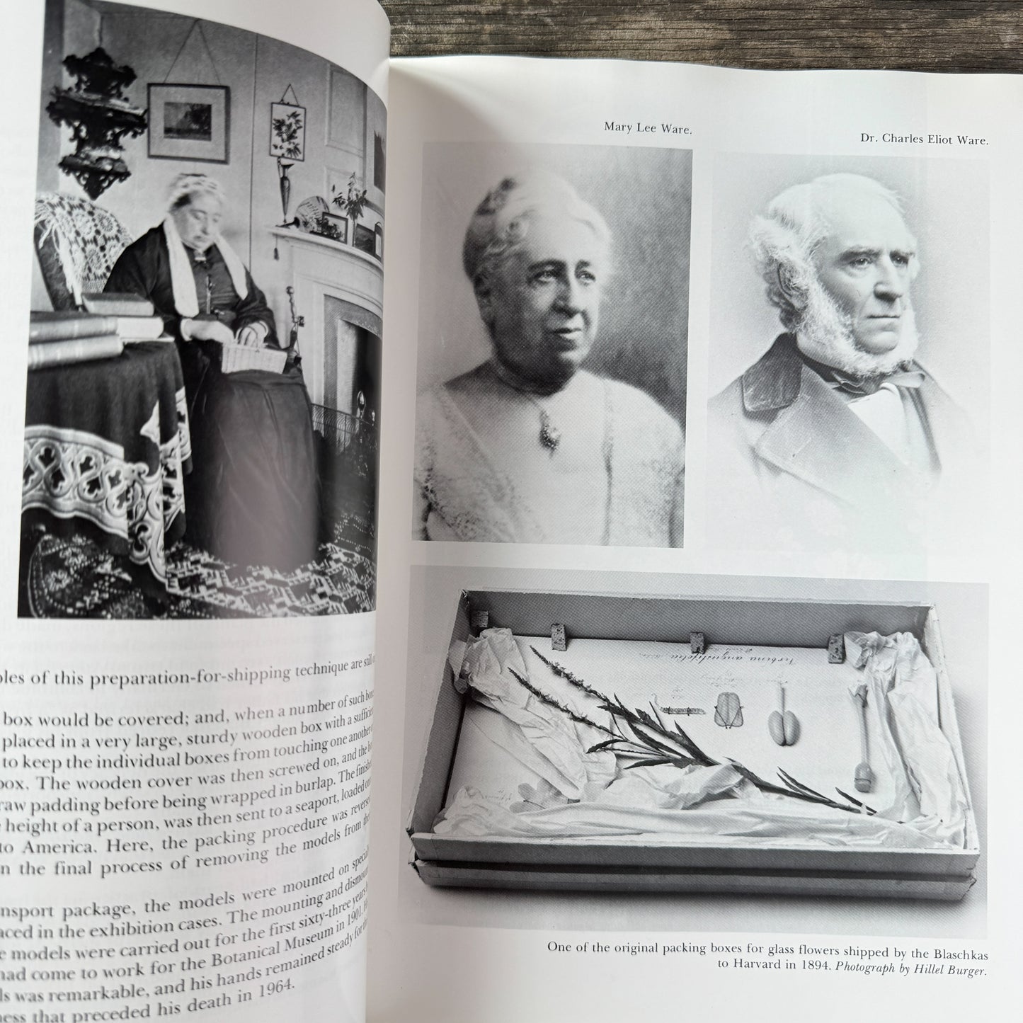 The Glass Flowers at Harvard, Richard Evans Schultes and William A. Davis, 1982