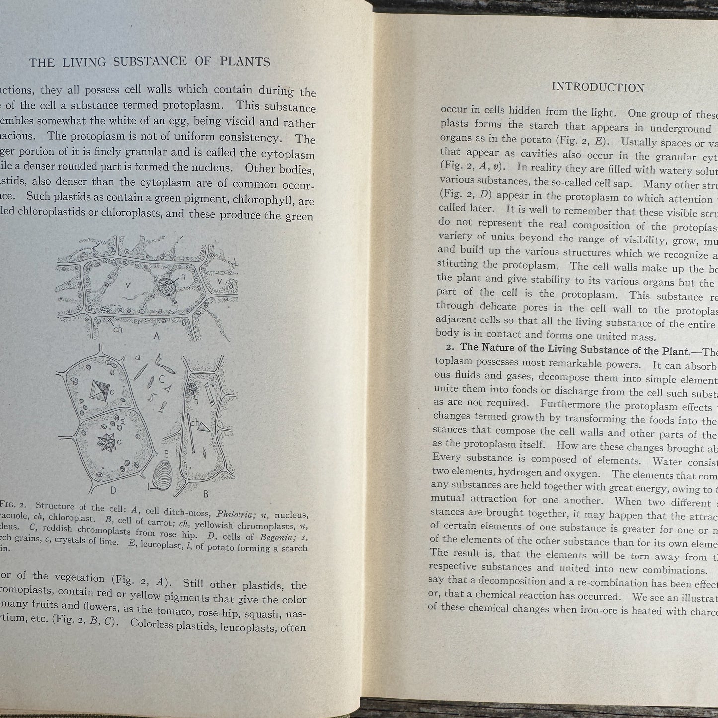 Nature and Development of Plants, Carlton C. Curtis, 1915