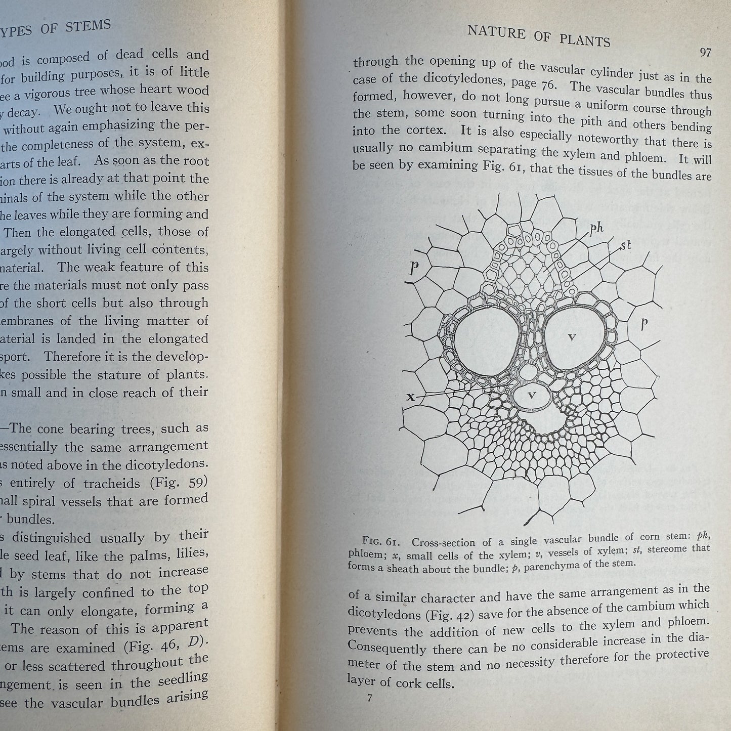 Nature and Development of Plants, Carlton C. Curtis, 1915