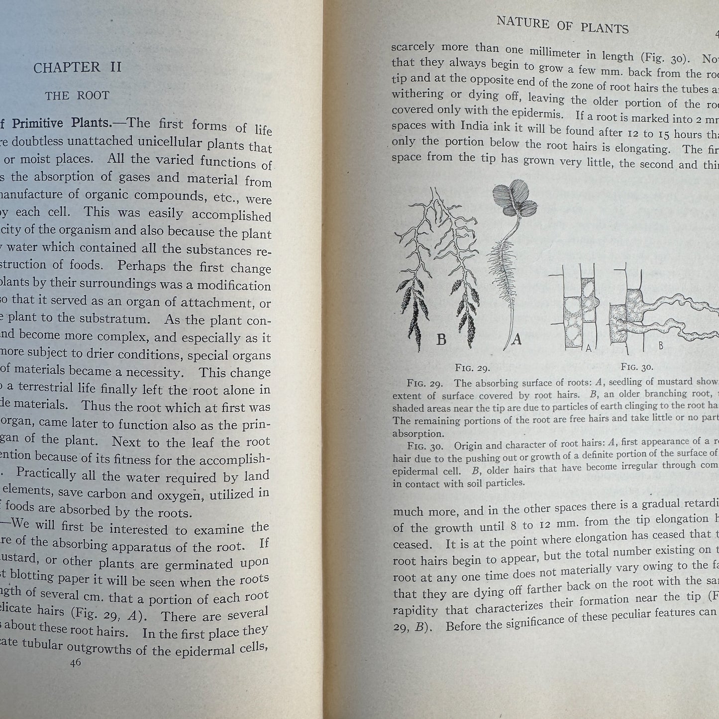 Nature and Development of Plants, Carlton C. Curtis, 1915