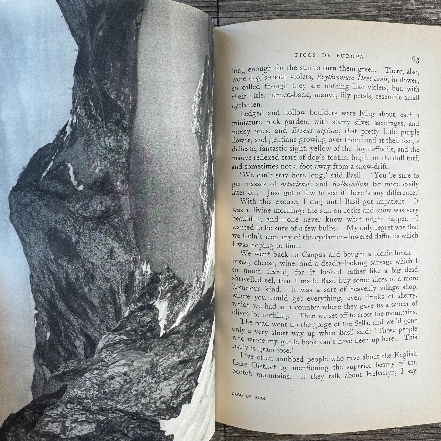 Three Acres and a Mill, Robert Gathorne-Hardy, 1939