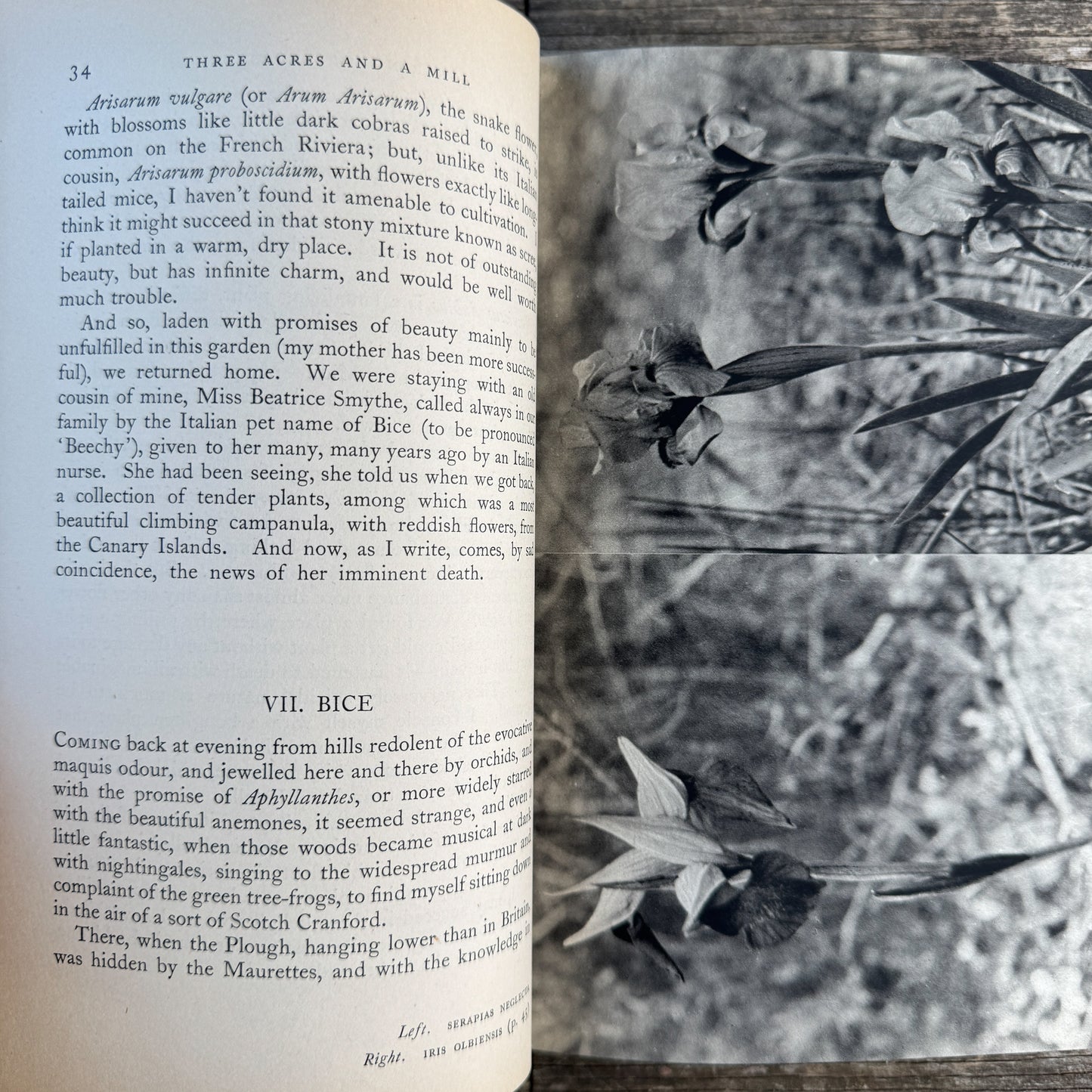 Three Acres and a Mill, Robert Gathorne-Hardy, 1939