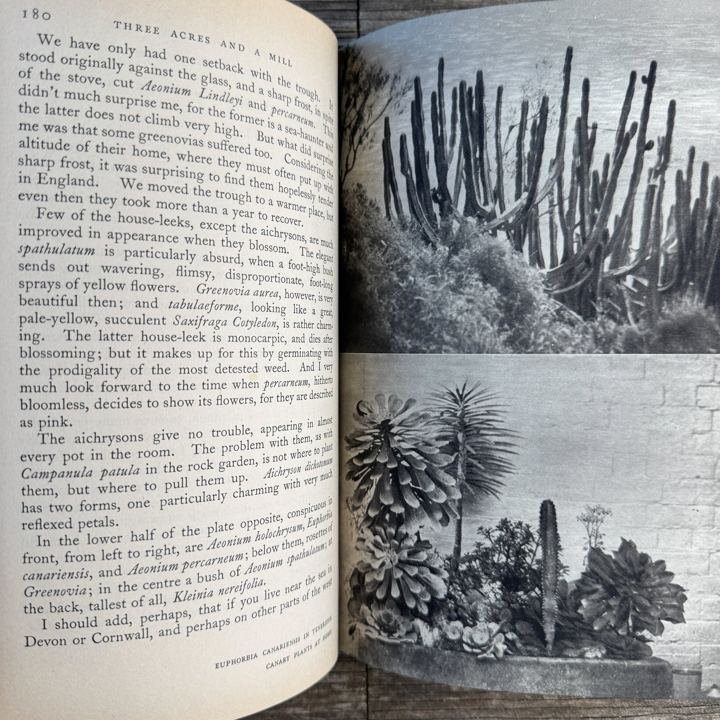 Three Acres and a Mill, Robert Gathorne-Hardy, 1939
