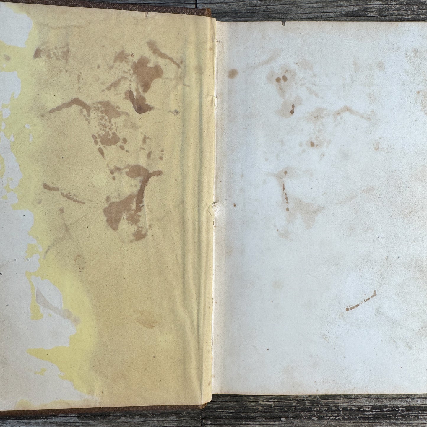 The American Practical Cookery-Book, A Practical Housekeeper, 1860