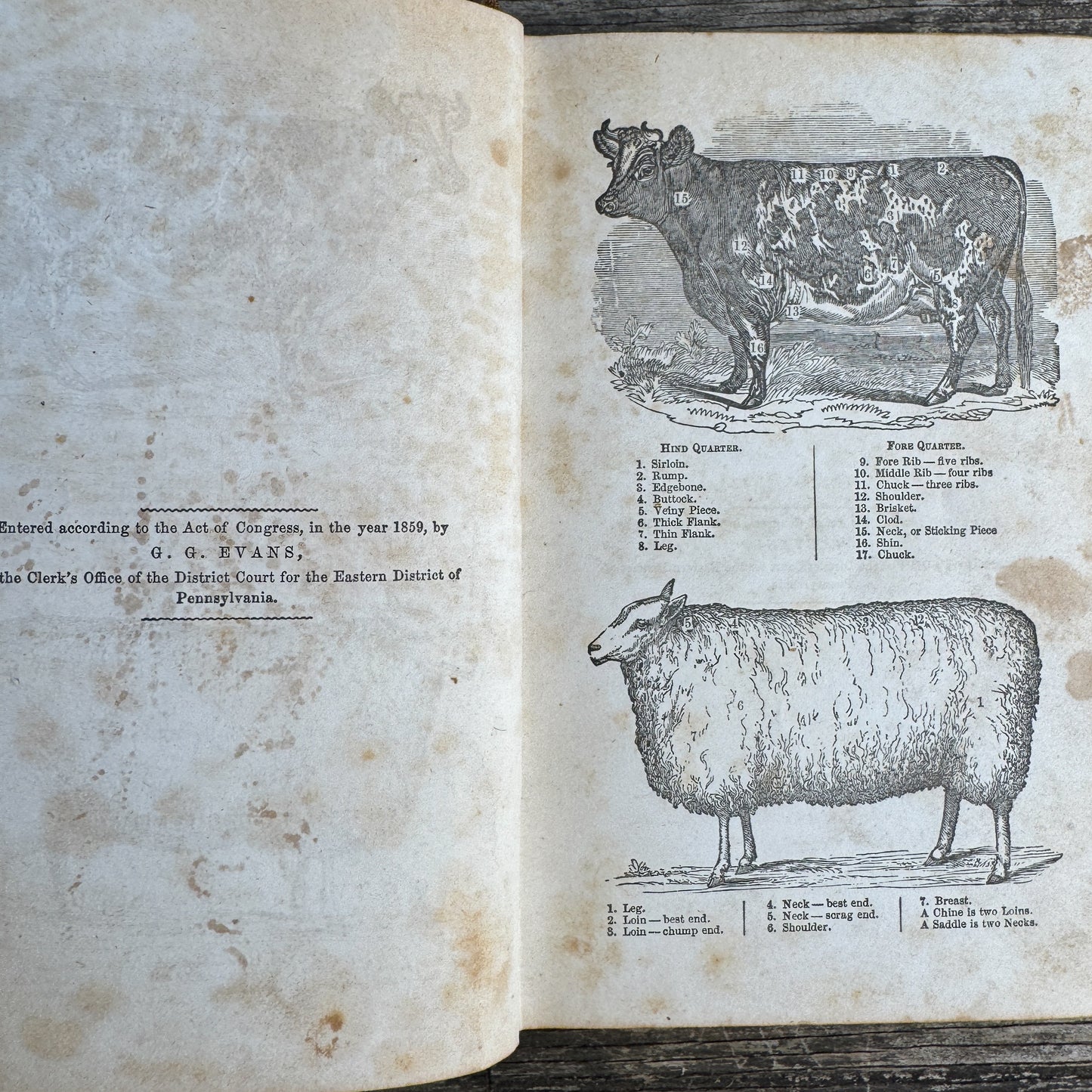 The American Practical Cookery-Book, A Practical Housekeeper, 1860