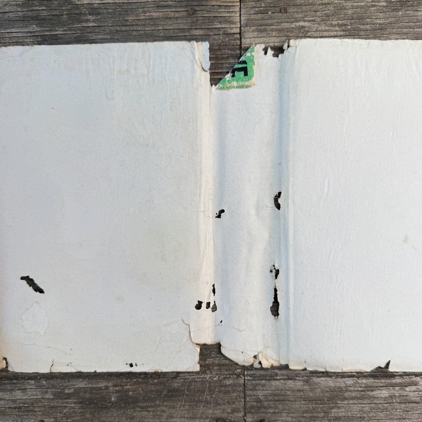 Five Acres and Independence, M.G. Kains, 1935