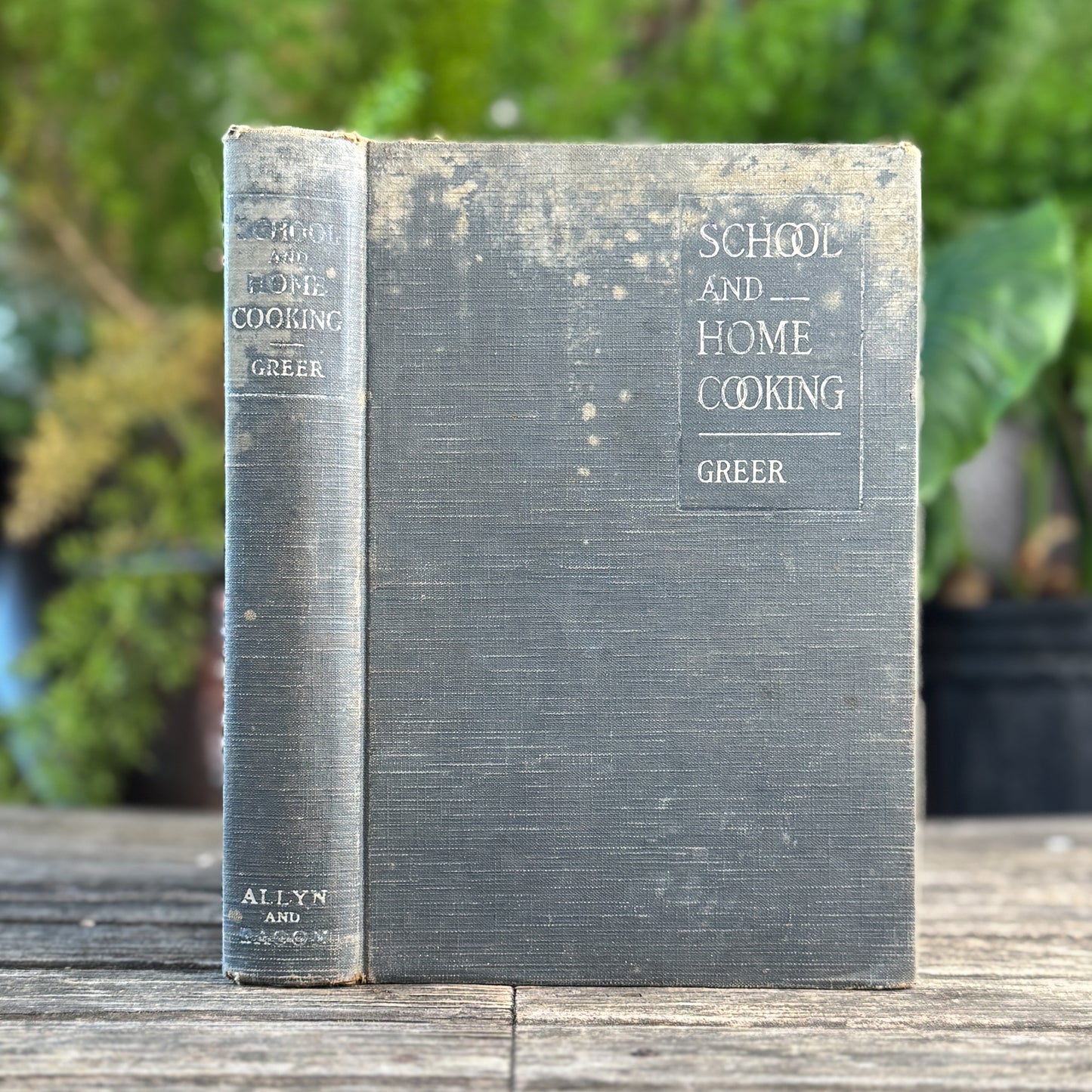 School and Home Cooking, Carlotta C. Greer, 1925