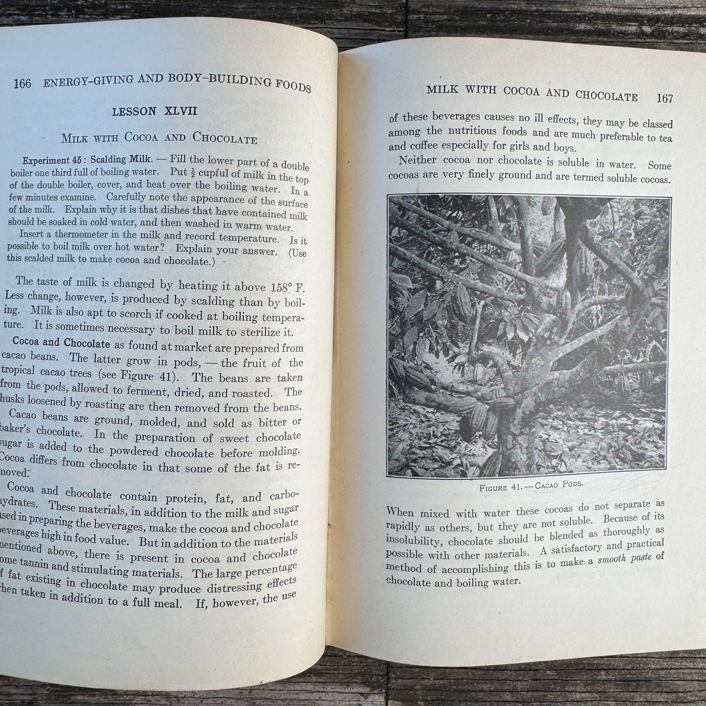 School and Home Cooking, Carlotta C. Greer, 1925
