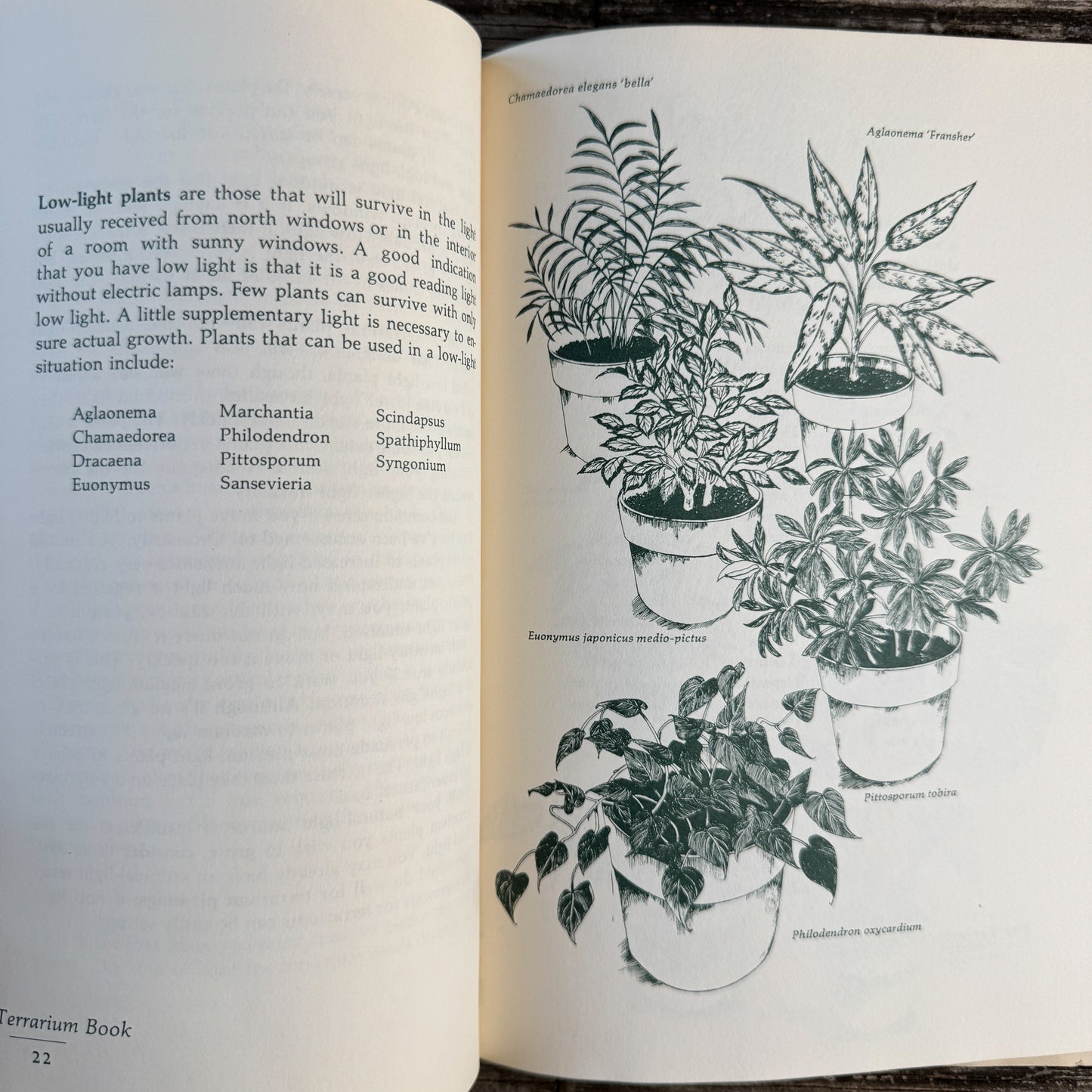 The Terrarium Book, Charles M. Evans with Roberta Lee Pliner, 1973