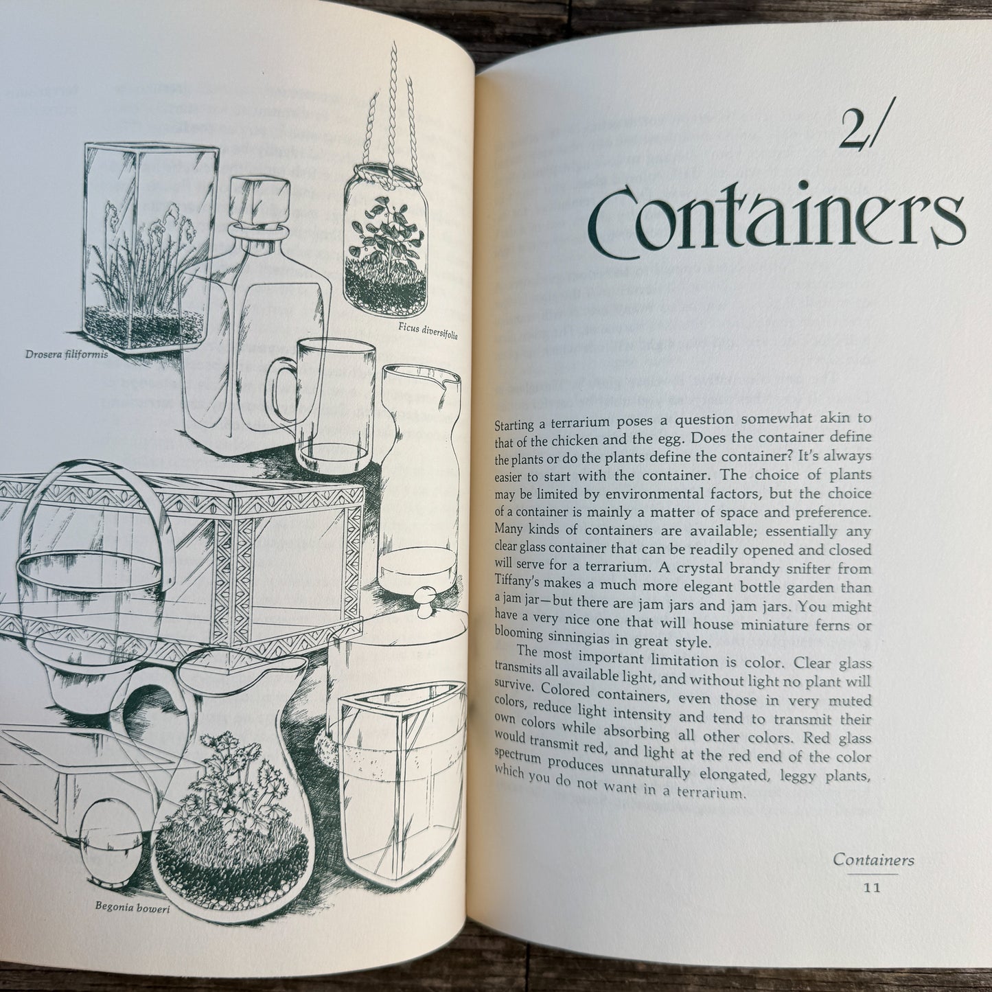 The Terrarium Book, Charles M. Evans with Roberta Lee Pliner, 1973