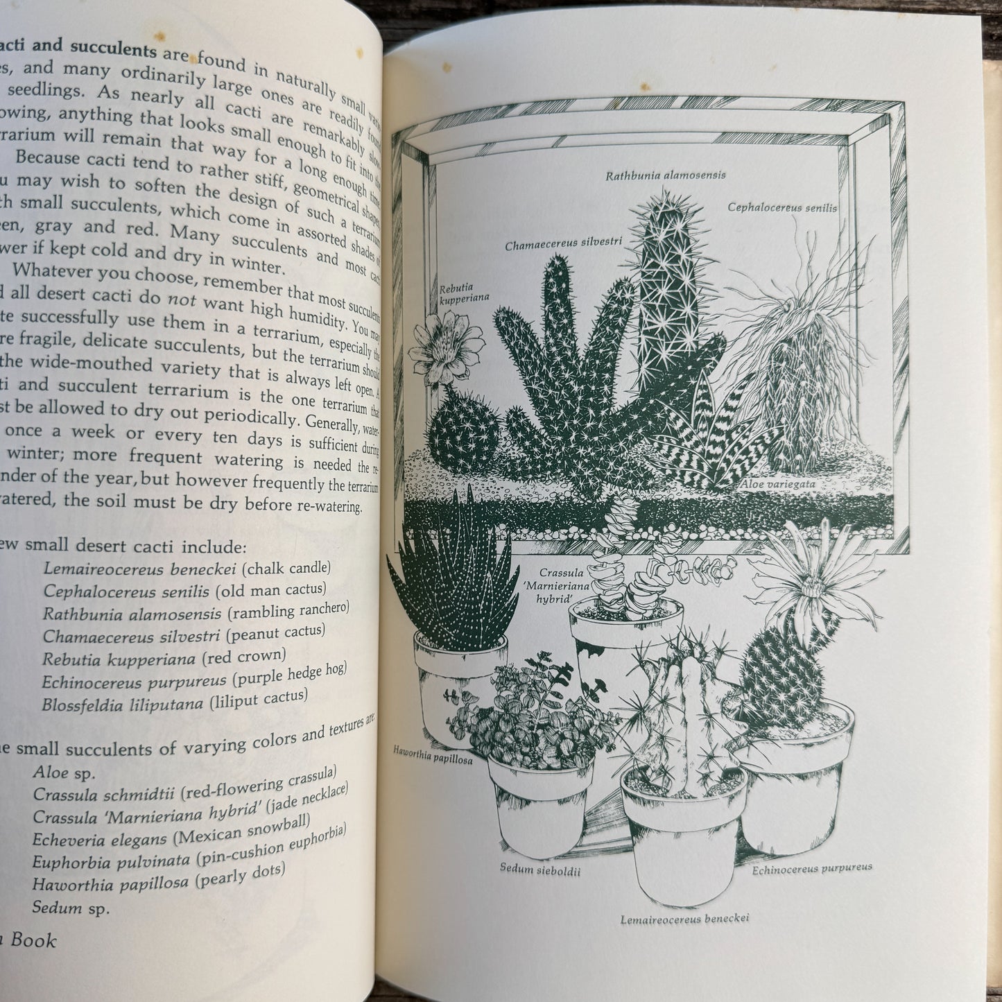 The Terrarium Book, Charles M. Evans with Roberta Lee Pliner, 1973