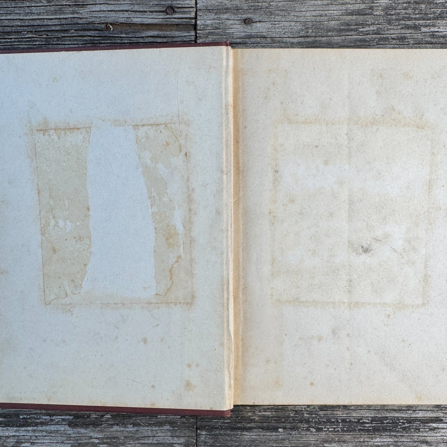 How to Keep Well, Personal Hygeine School Book, Anatomy Illustrations, 1910