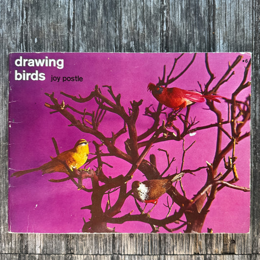 Drawing Birds, Joy Postle, How to Book, 1963