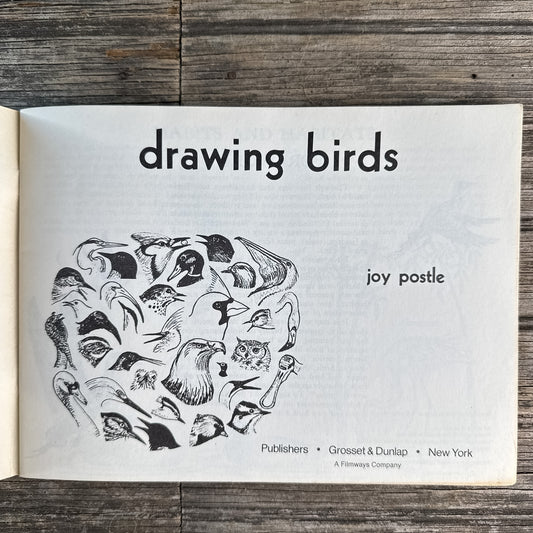 Drawing Birds, Joy Postle, How to Book, 1963