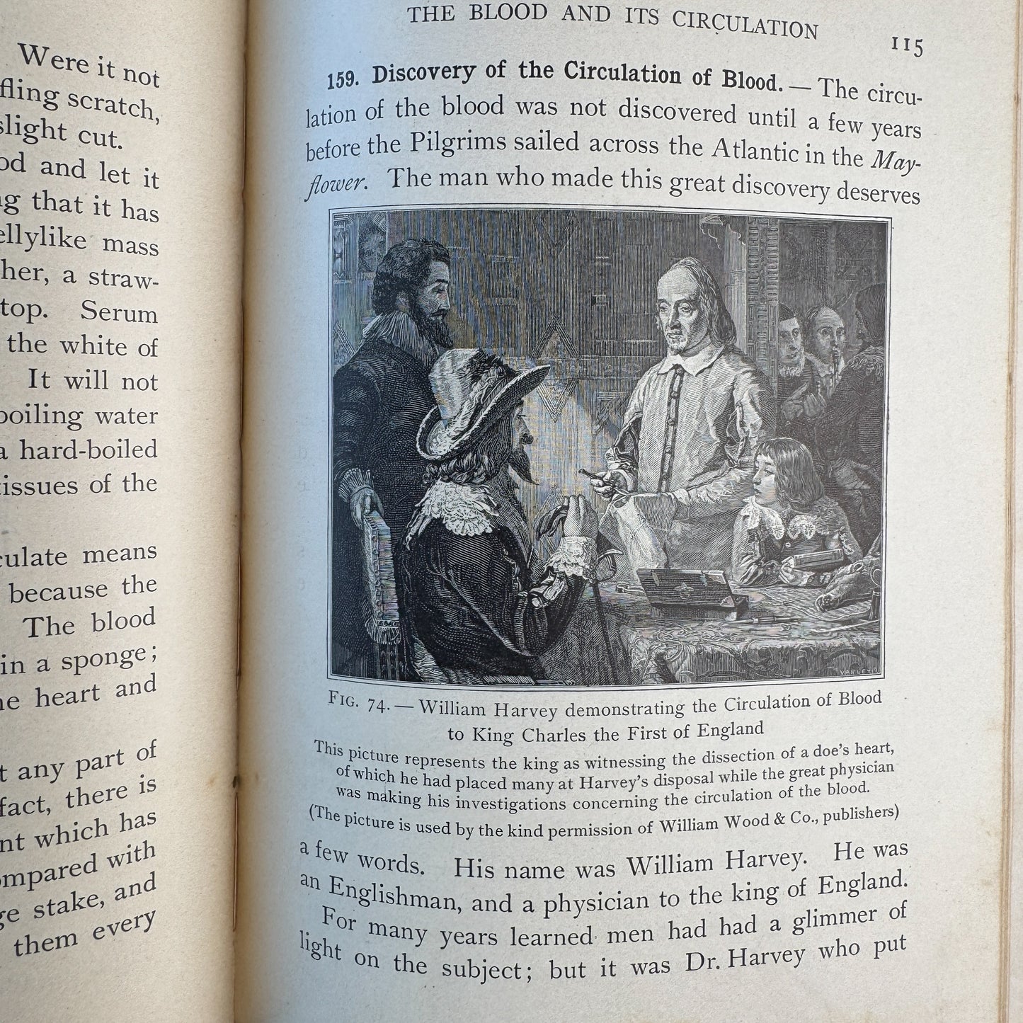 How to Keep Well, Personal Hygeine School Book, Anatomy Illustrations, 1910