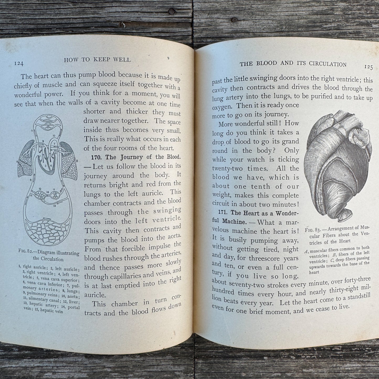How to Keep Well, Personal Hygeine School Book, Anatomy Illustrations, 1910
