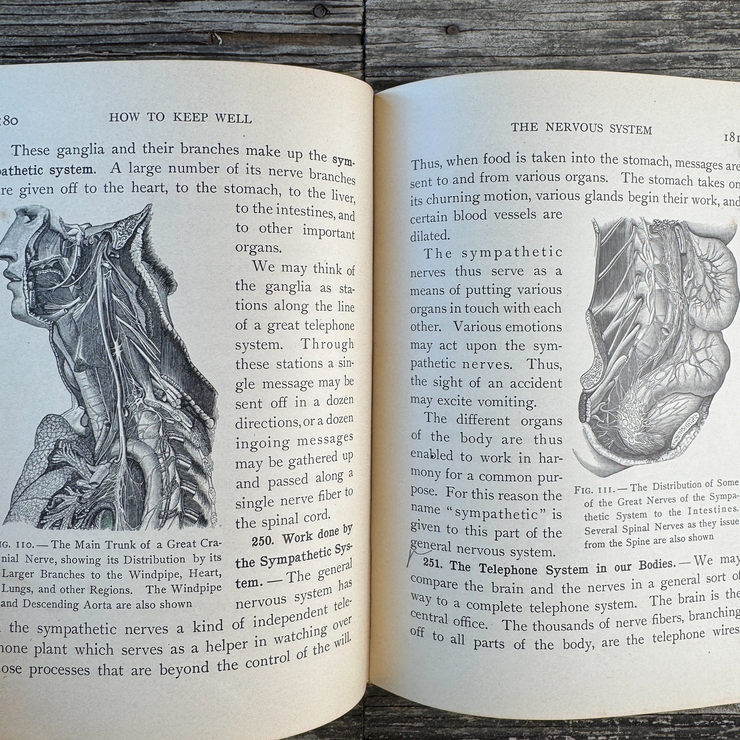 How to Keep Well, Personal Hygeine School Book, Anatomy Illustrations, 1910