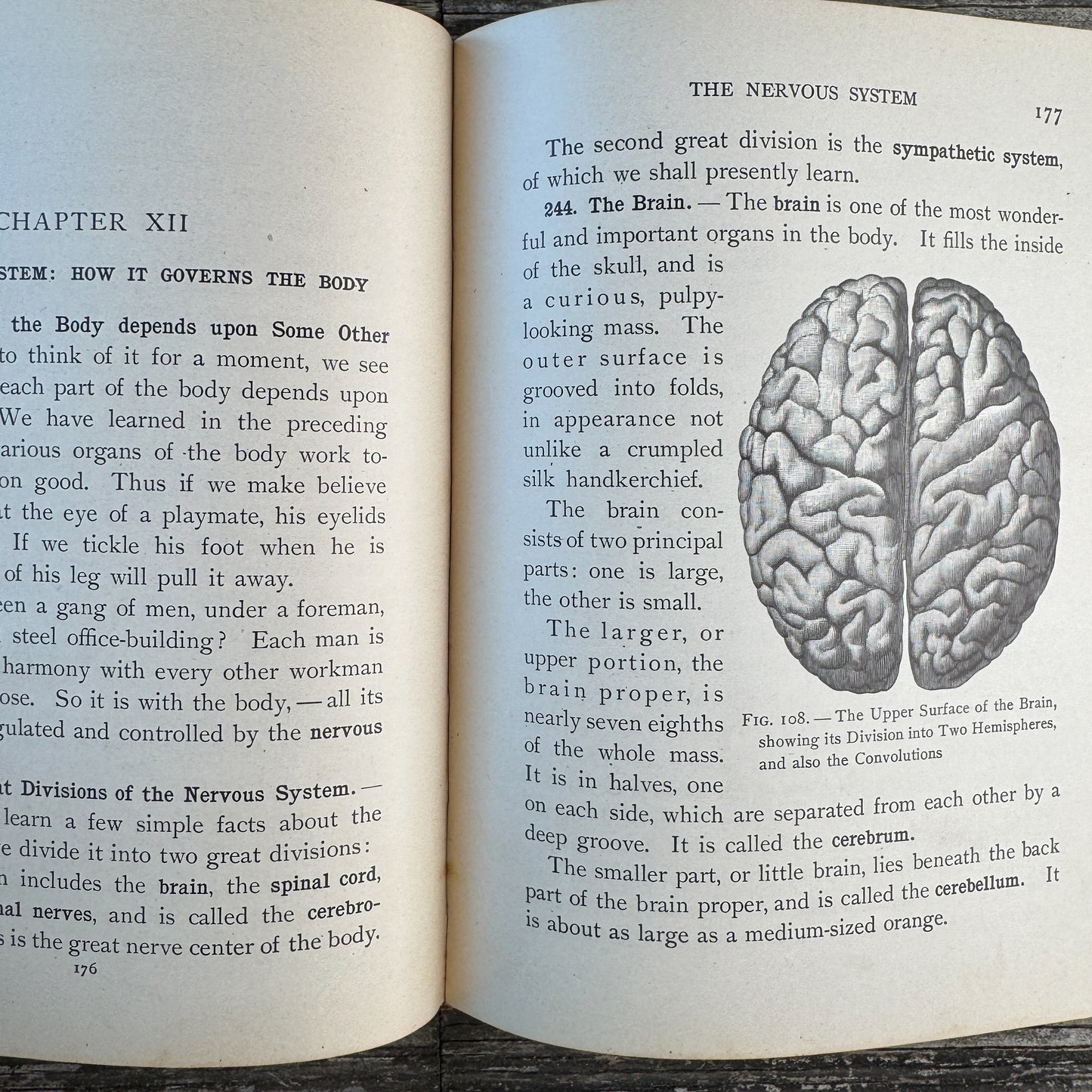 How to Keep Well, Personal Hygeine School Book, Anatomy Illustrations, 1910