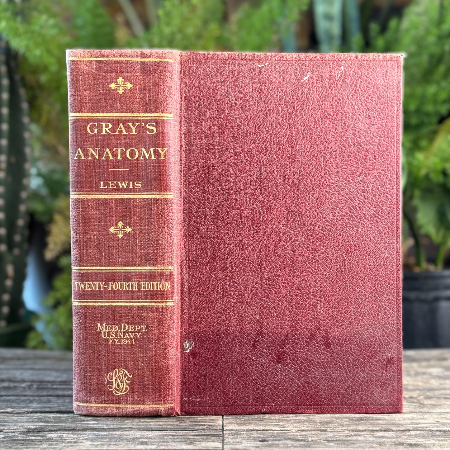 Gray's Anatomy of the Human Body, 1943
