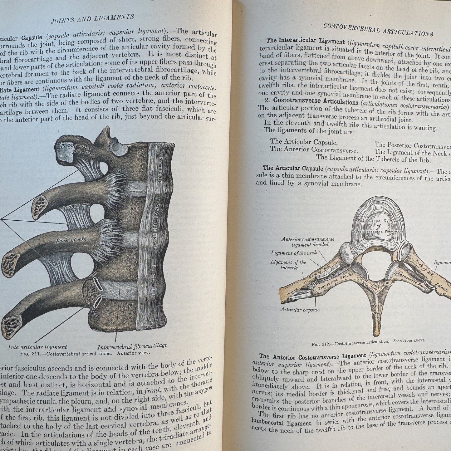 Gray's Anatomy of the Human Body, 1943