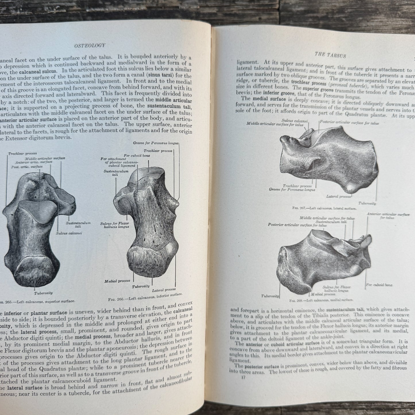 Gray's Anatomy of the Human Body, 1943