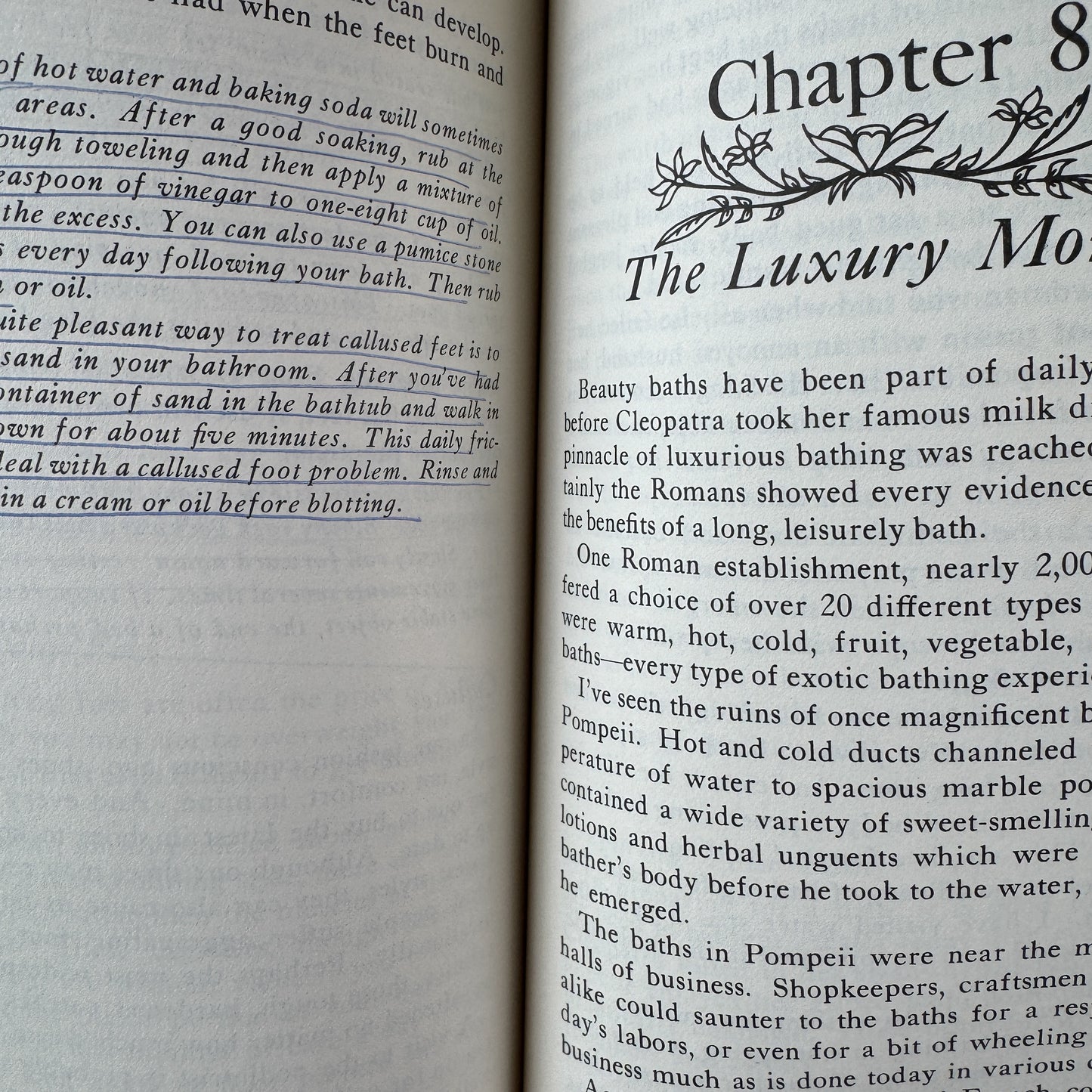 The Handbook of Natural Beauty, Virginia Castleton, 1975