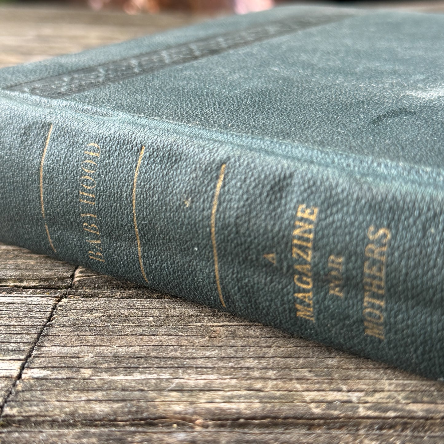 Babyhood: A Monthly Magazine for Mothers, Vol. II, 1886