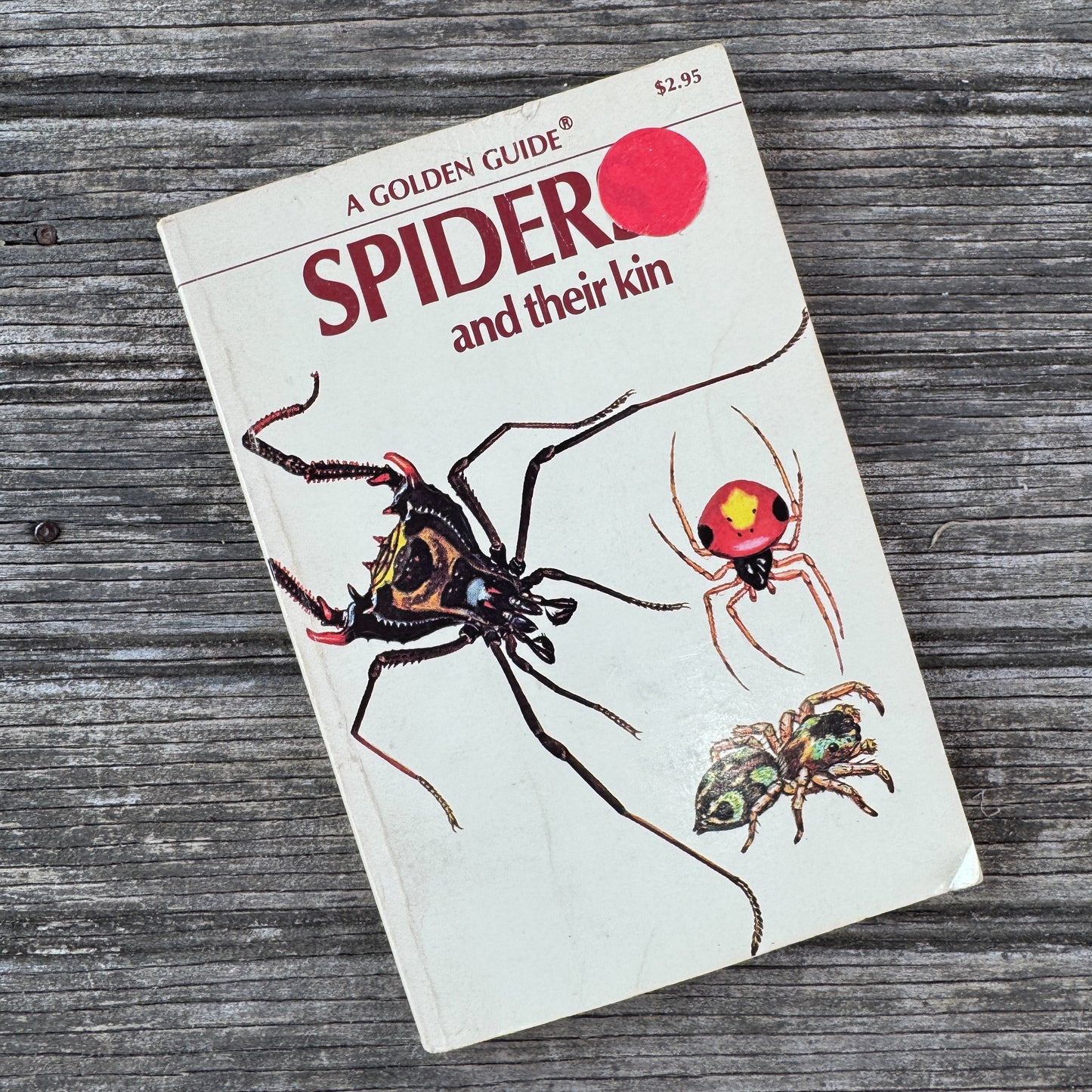 Spiders and Their Kin: A Golden Guide, 1968