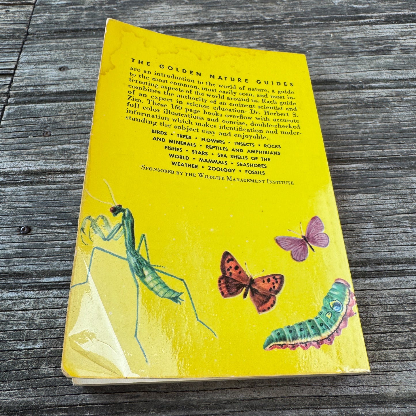 Insects A Golden Guide, Vintage 1963 Yellow Paperback Field Guide