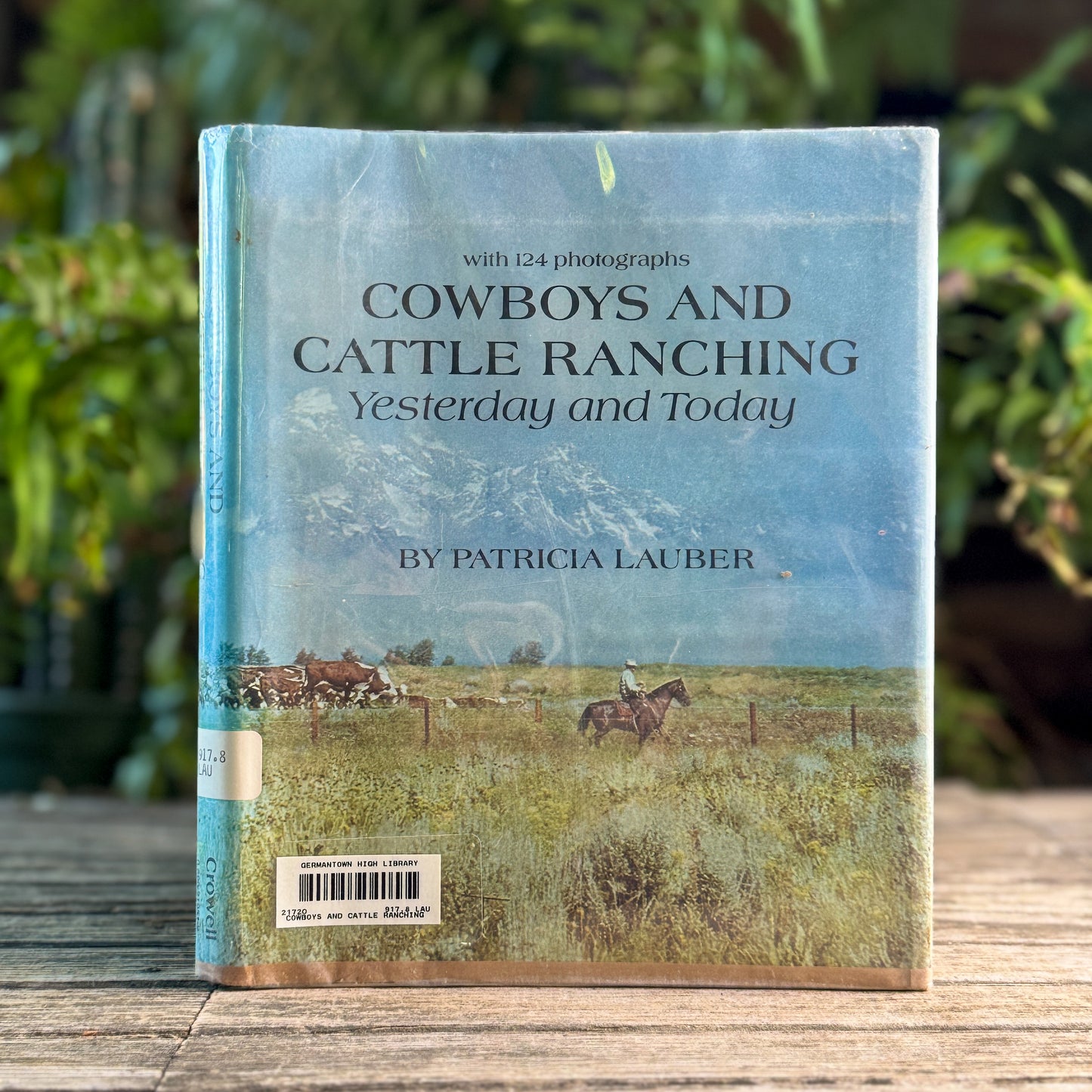 Cowboys and Cattle Ranching Yesterday and Today, Patricia Lauber, 1973