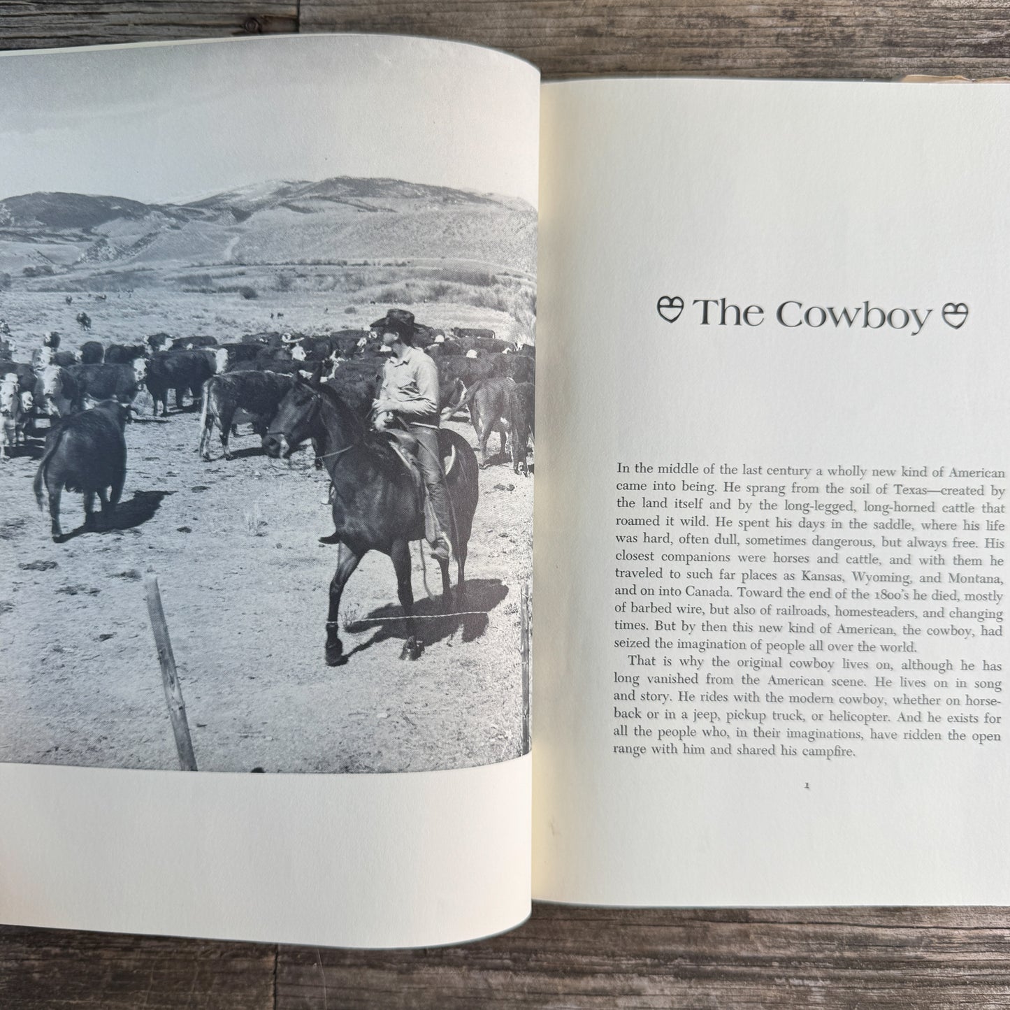 Cowboys and Cattle Ranching Yesterday and Today, Patricia Lauber, 1973