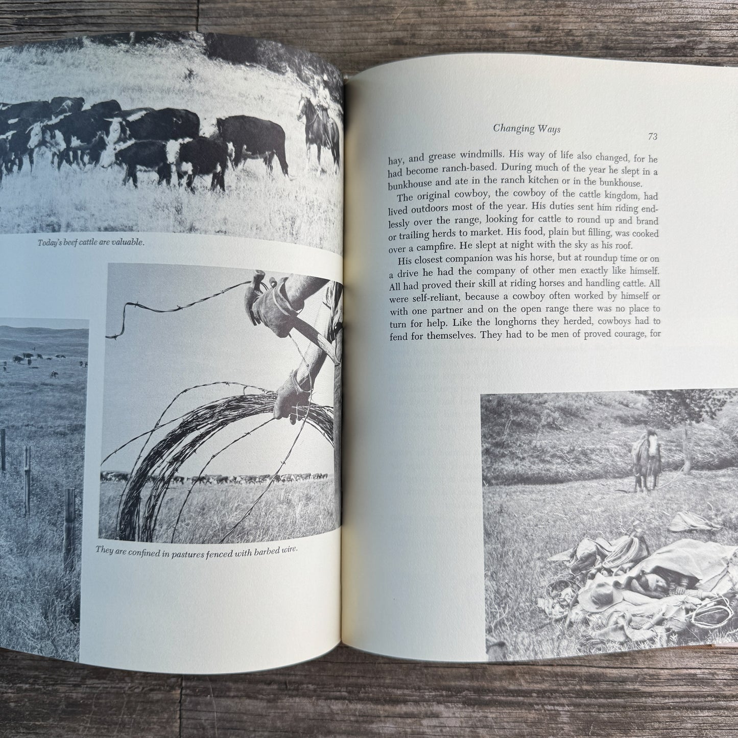 Cowboys and Cattle Ranching Yesterday and Today, Patricia Lauber, 1973
