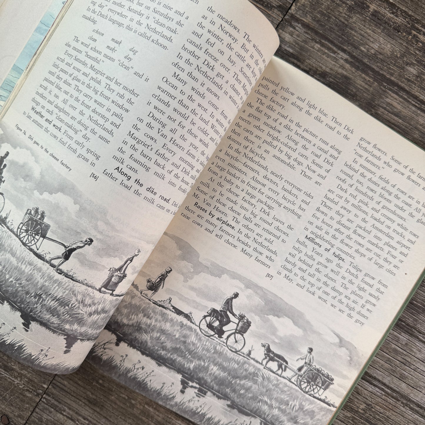 Our Big World, 1946 Geography School Book, Milo Winter