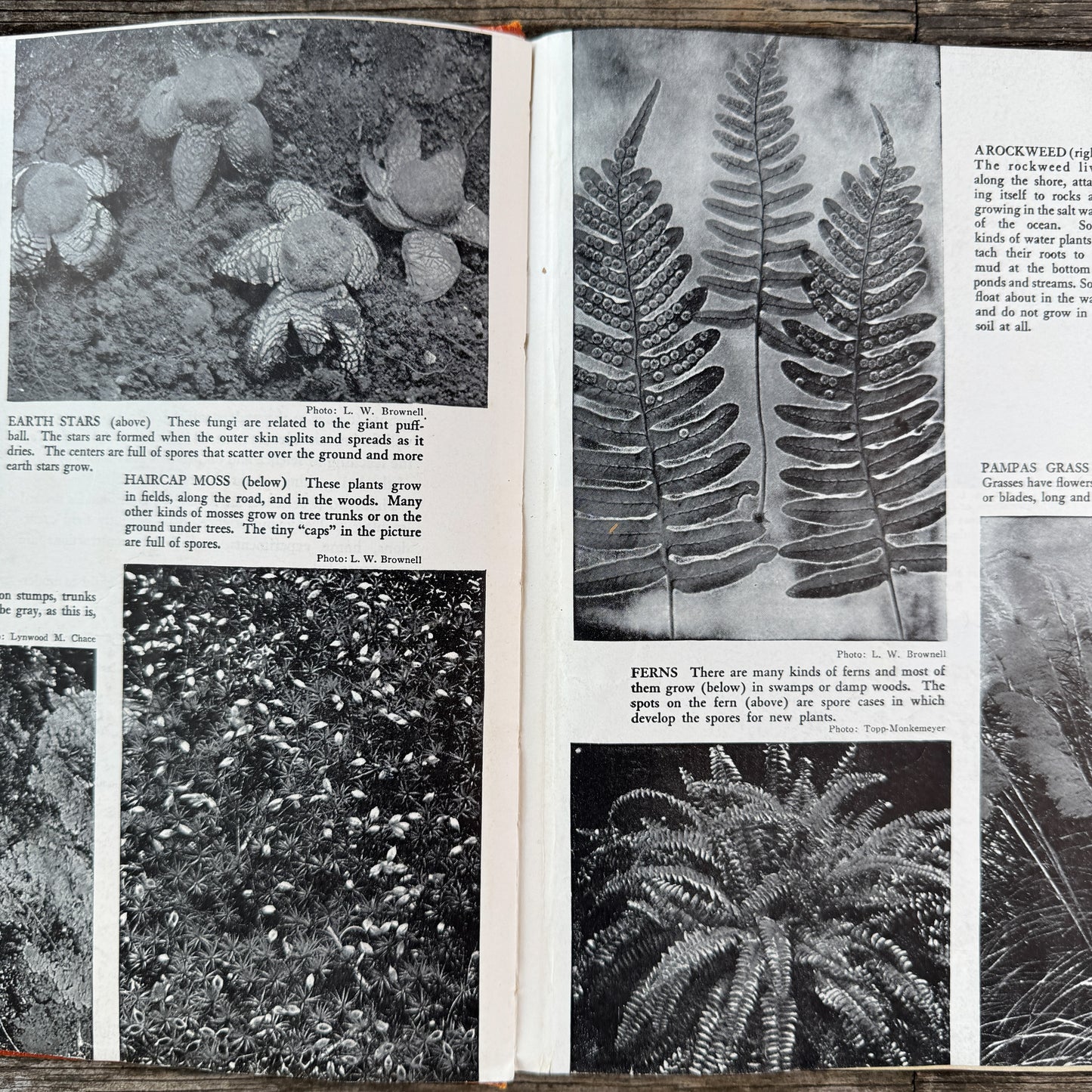 Childcraft Volume 14: Science and Industry, 1949, Orange