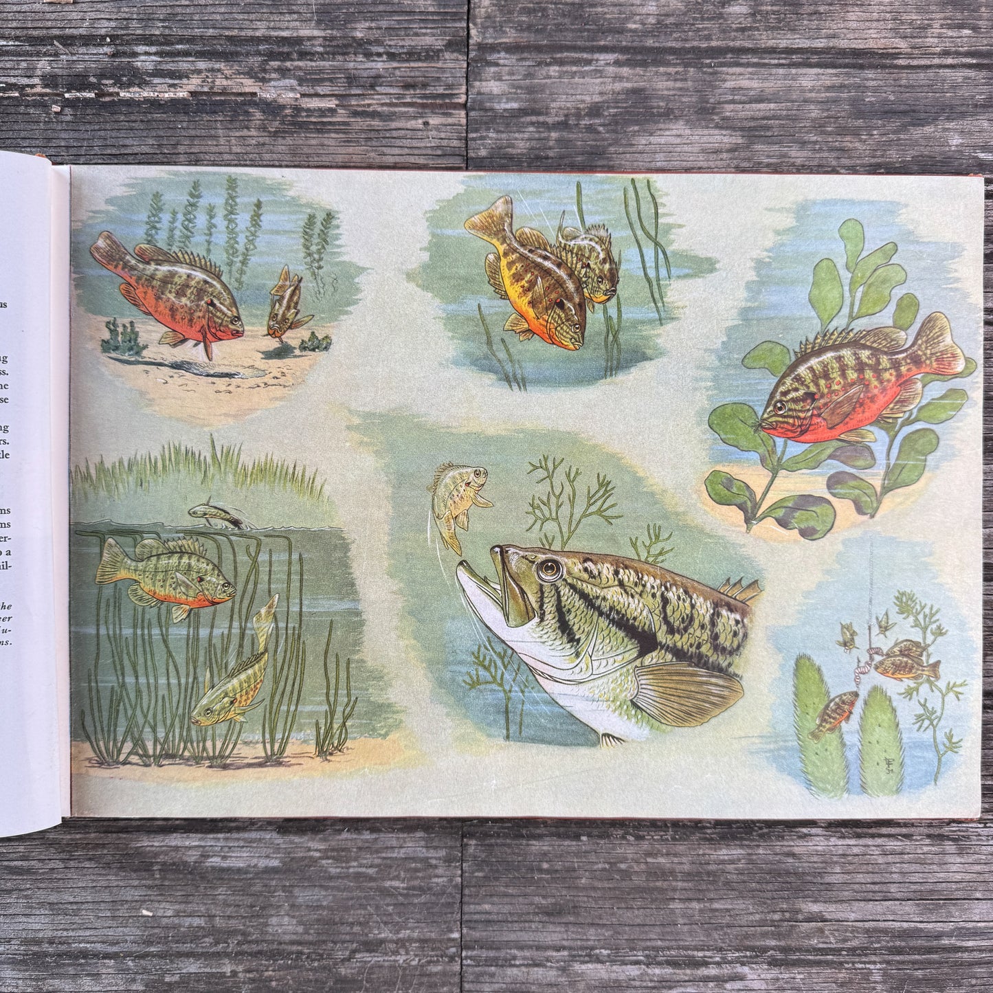 Childcraft Volume 14: Science and Industry, 1949, Orange