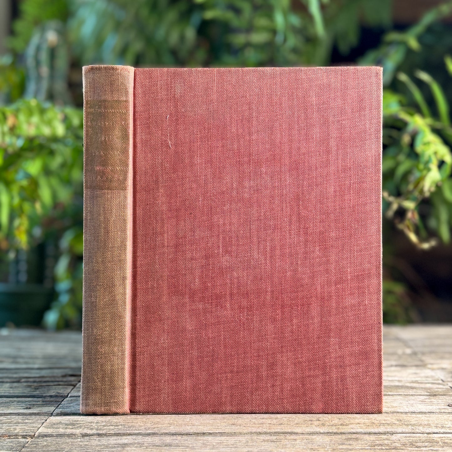The Analytical Greek Lexicon