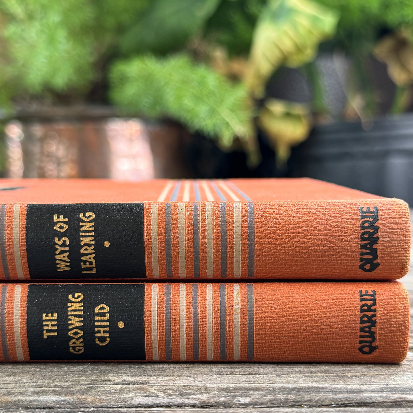 Vintage Set of 2 Orange Childcraft Books, 1947