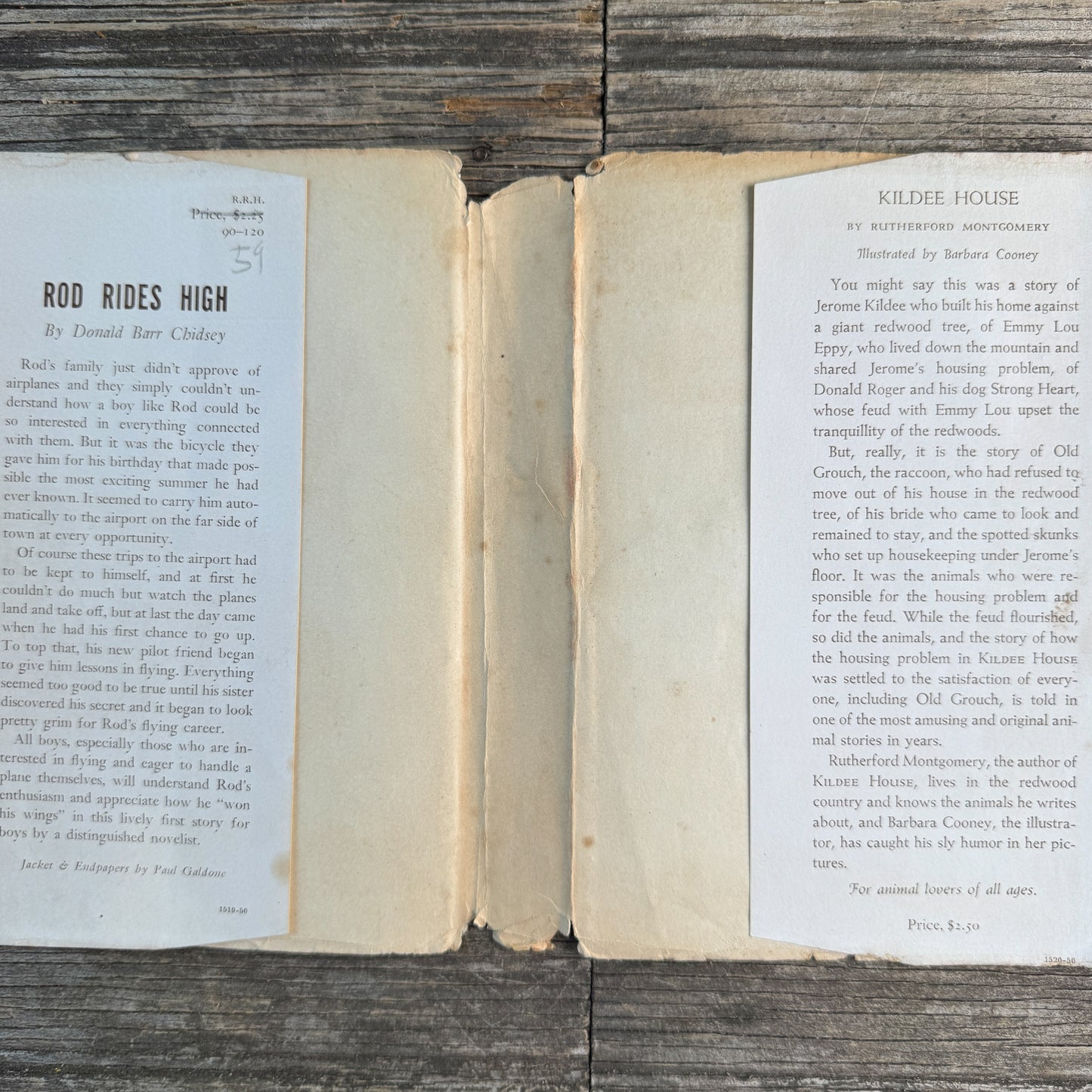 Rod Rides High, Donald Barr Chidsey, 1950, First Edition