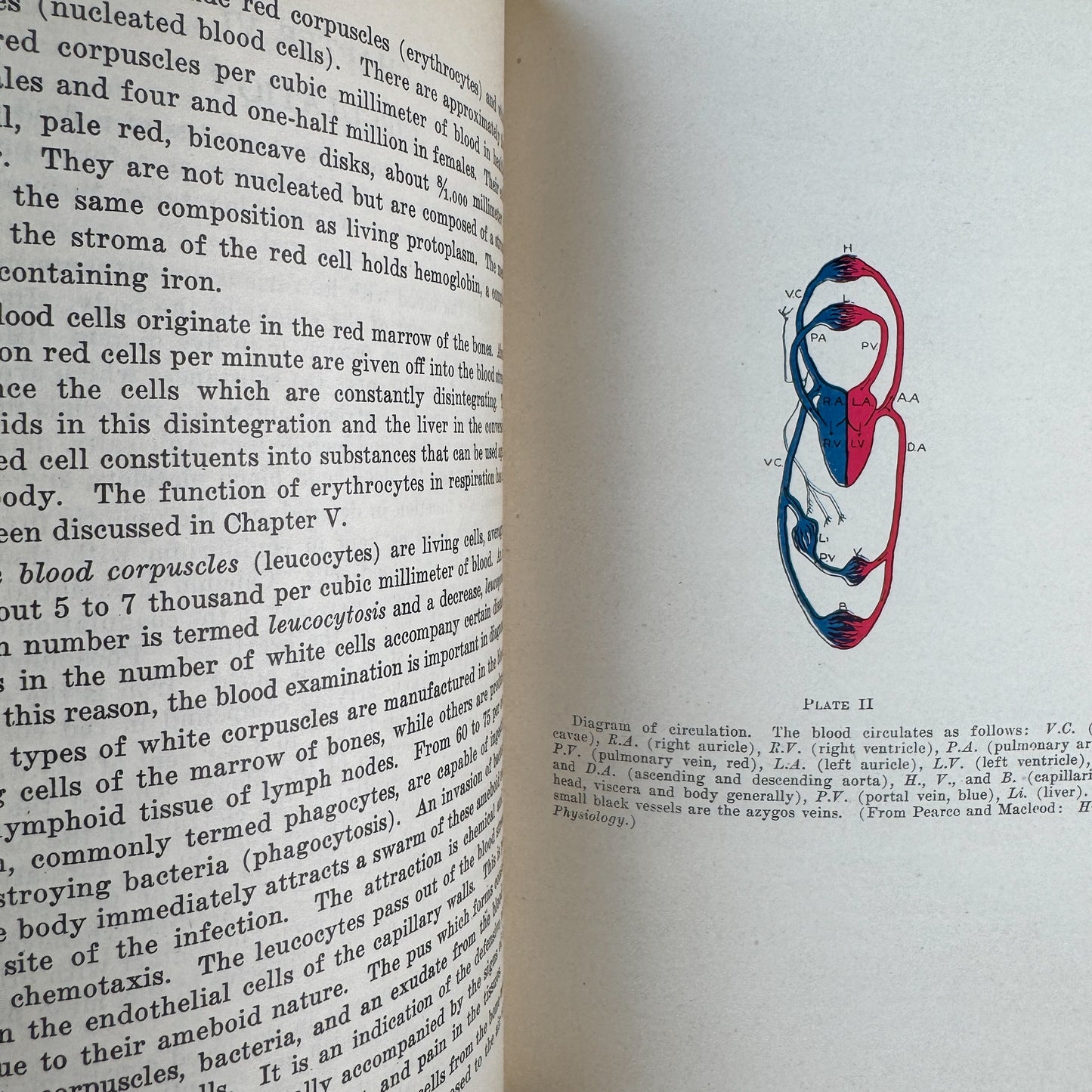 Personal and Community Health, C. E. Turner, 1943, Seventh Edition