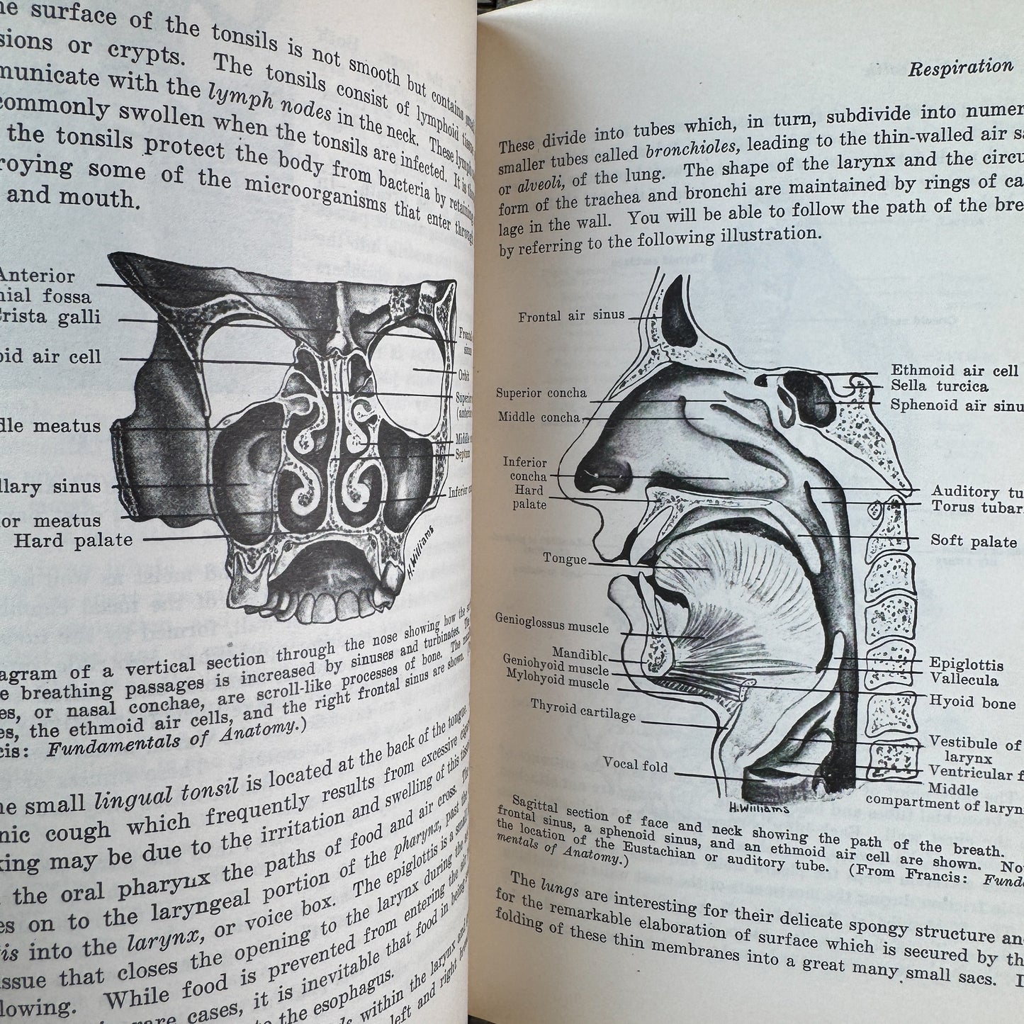 Personal and Community Health, C. E. Turner, 1943, Seventh Edition