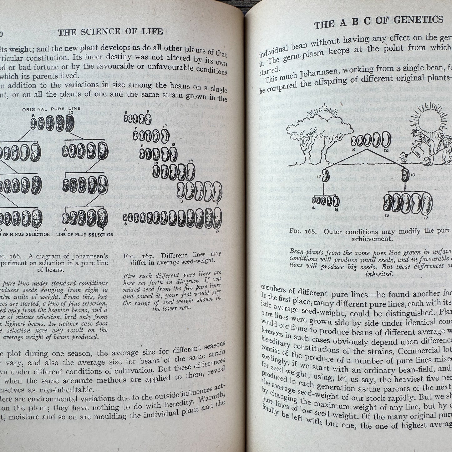 The Science of Life, H. G. Wells, Julian S. Huxley, G. P. Wells, 1934