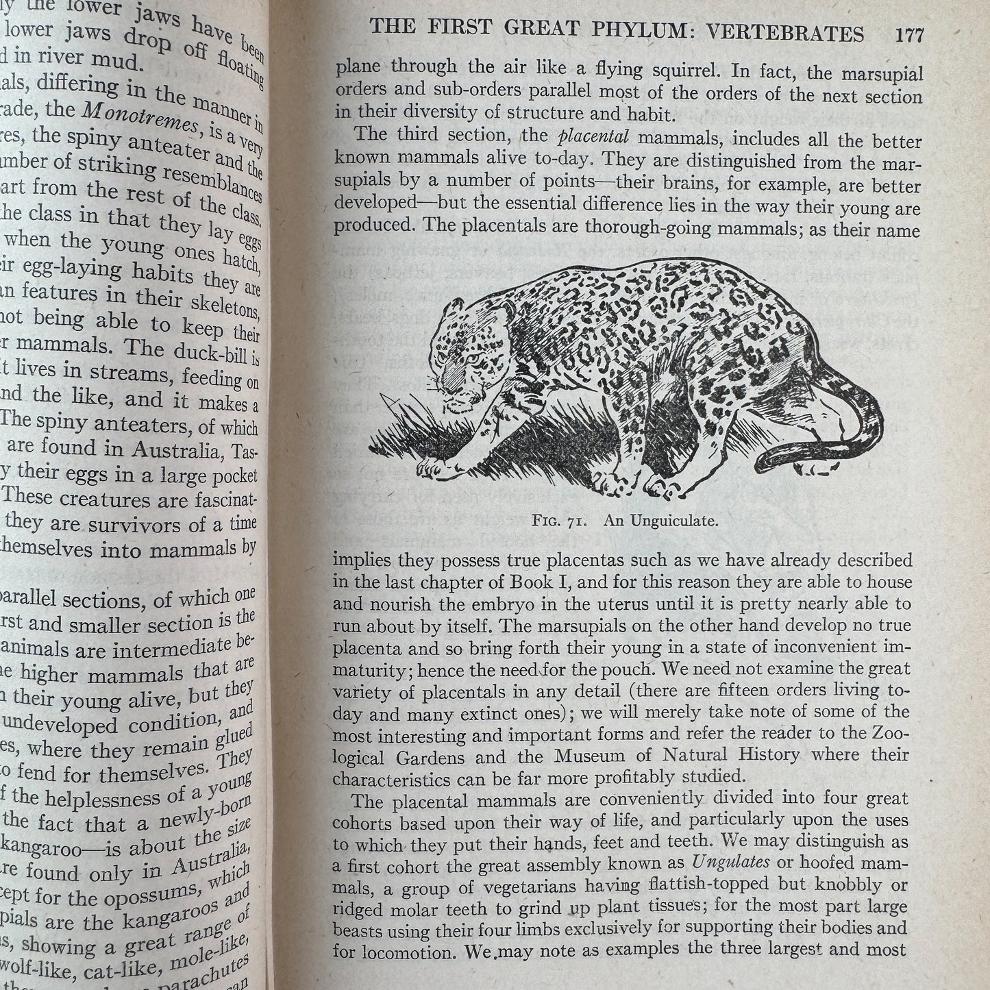 The Science of Life, H. G. Wells, Julian S. Huxley, G. P. Wells, 1934