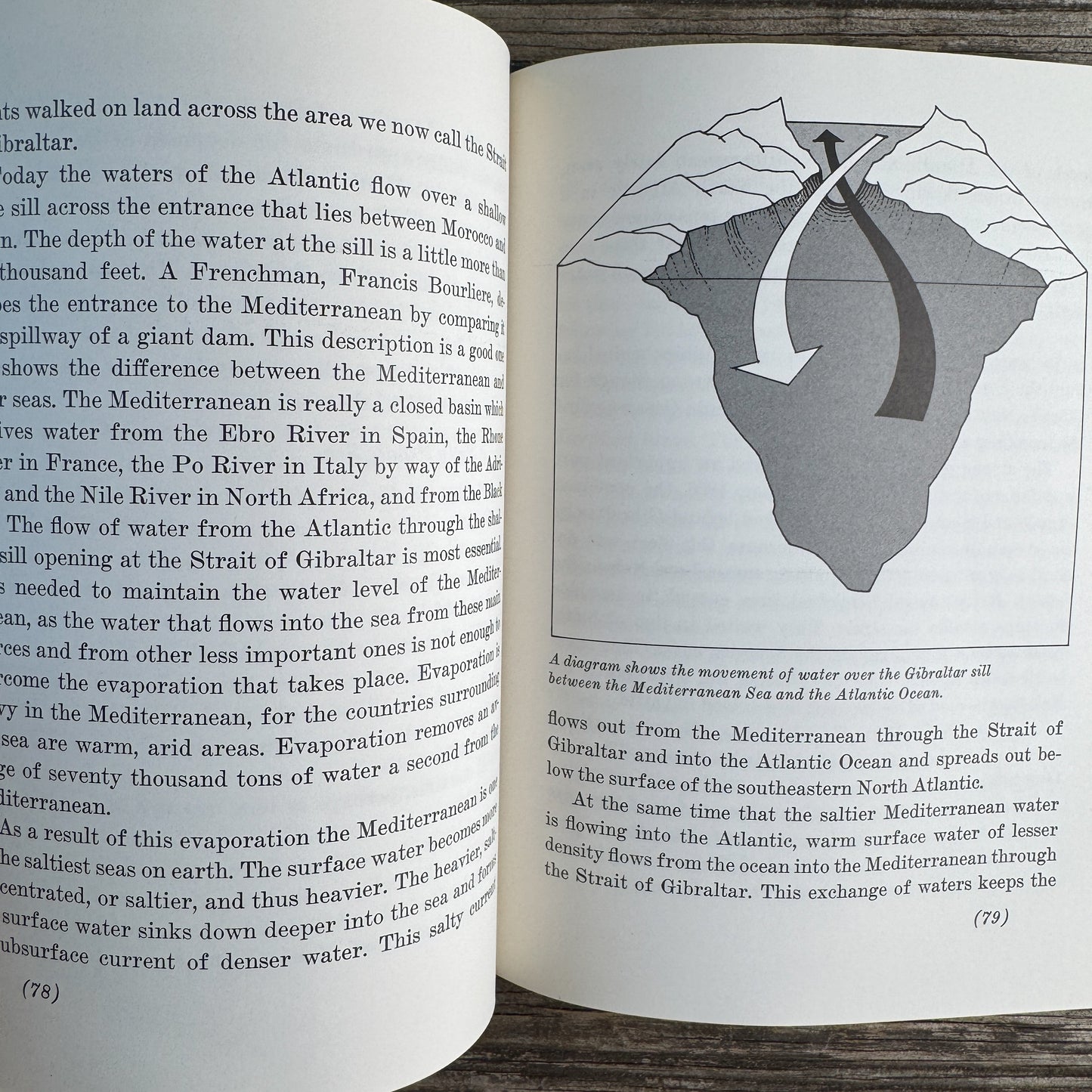 The Seven Seas, Elizabeth Clemons, 1971